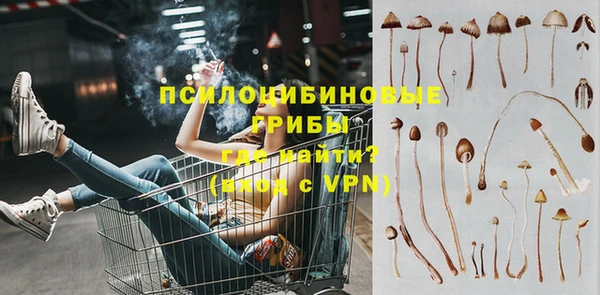 метадон Михайлов