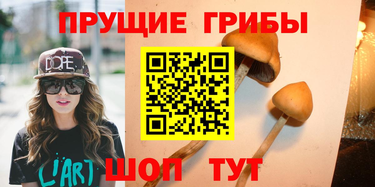 Карталы  Галлюциногенные грибы прущие грибы  Псилоцибиновые грибы Cubensis  Вход с VPN 