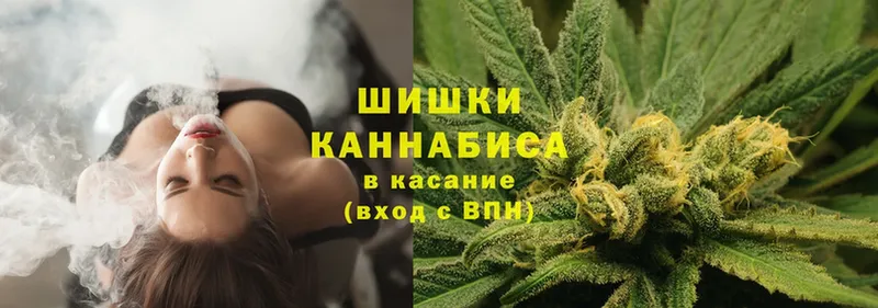 MEGA ССЫЛКА  Карталы  Каннабис сатива 